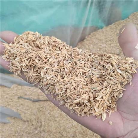 米糠饲用价值及在牛羊兔饲料中的使用方法
