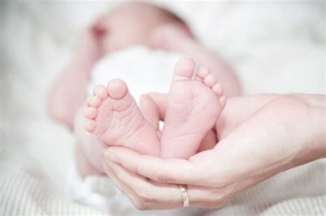 刚出生的小宝宝(刚出生的宝宝如何照顾，儿科医生告诉你) - 【爱喜匠】