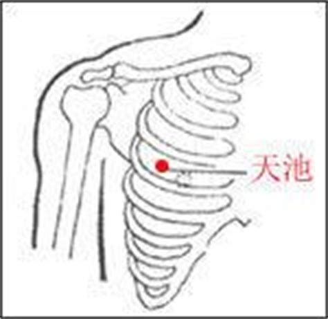 心包经穴位图图片