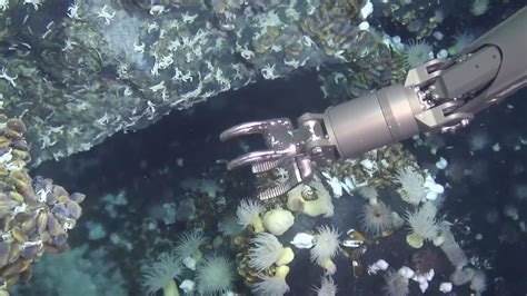 “蛟龙”完成马里亚纳海沟第20潜 超6000米深度达16次|界面新闻 · 中国