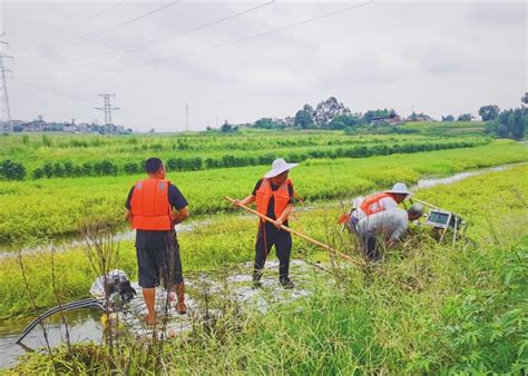 仙龙镇：开展“清漂”行动 守护河流生态- 镇街部门 -永川新闻网