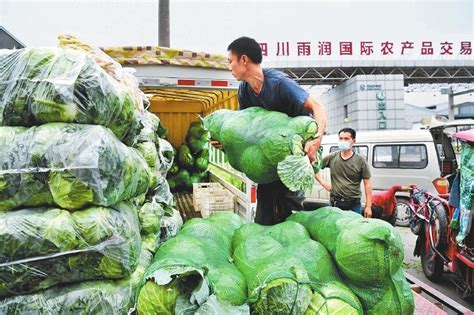 西南地区最大农产品批发交易市场：新鲜蔬菜源源不断从各地运来_四川在线