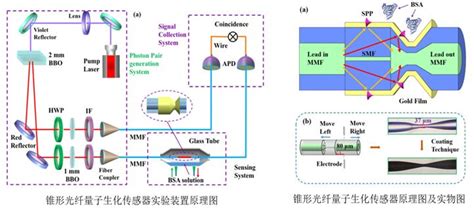 MTI-2100光纤位移传感器详细资料－深圳市勤联科技有限公司