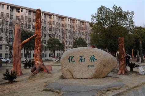 2020-2020中国地质大学（武汉）一流本科专业建设点名单18个（国家级+省级）