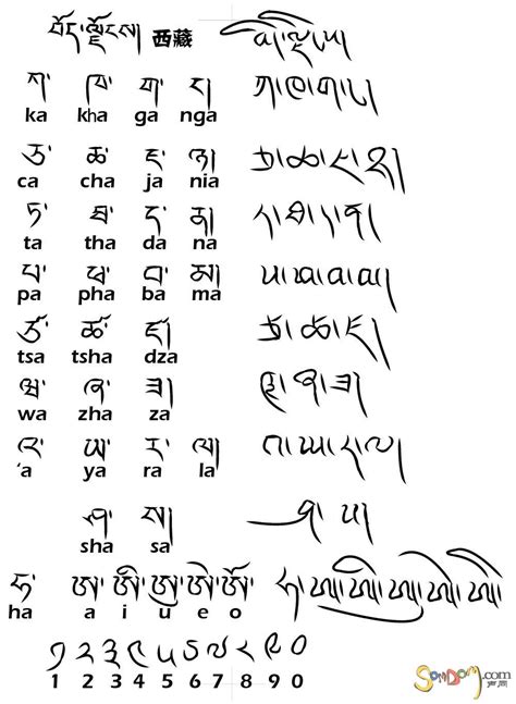 藏文字母标音和笔顺藏地阳光新闻网