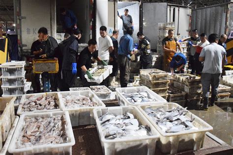 春节将至山东青岛水产市场海鲜价格涨势猛 - 海洋财富网