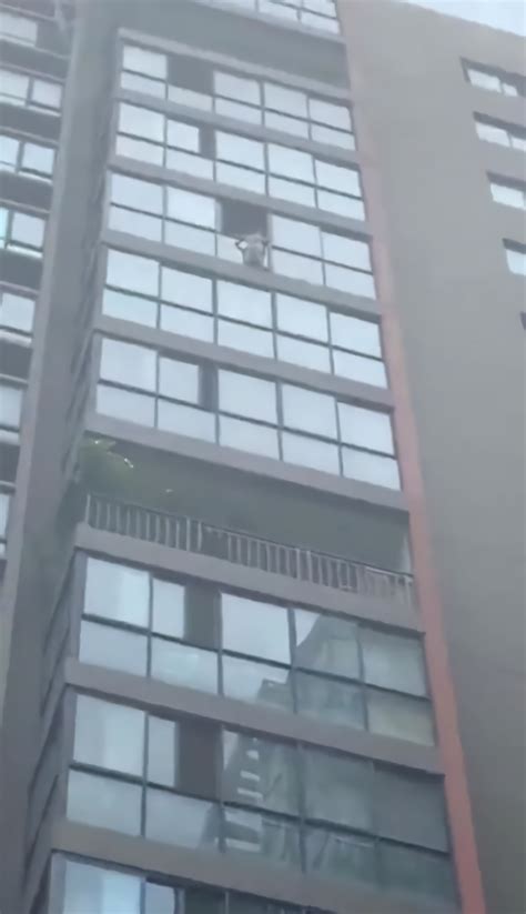 女童贪玩爬窗悬挂在14楼窗外，消防员从16楼索降成功营救_凤凰网视频_凤凰网