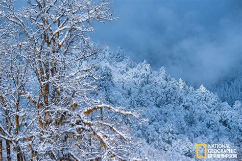 四川的喇叭河：这里雪景美到让人不敢说话！_凤凰旅游