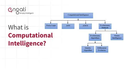 Computational Intelligence and Its Applications in Healthcare - E-Book