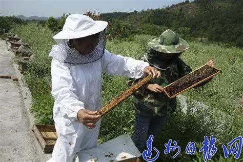 复兴贫困蜂农捐400斤蜂蜜助抗“疫” - 达州日报网