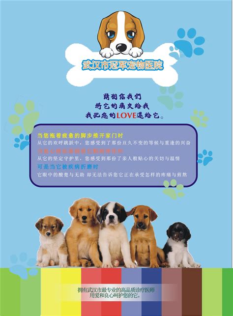宠物店铺促销海报_素材中国sccnn.com