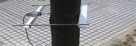 位移传感器用于树木生长量在线监测-深圳市米兰特科技有限公司
