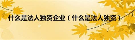 法人独资企业股东决定怎么写?Word模板下载_编号lamkmonm_熊猫办公