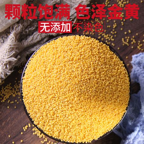 陕北农家石碾米脂小米，美味营养，刮脂又养胃__凤凰网