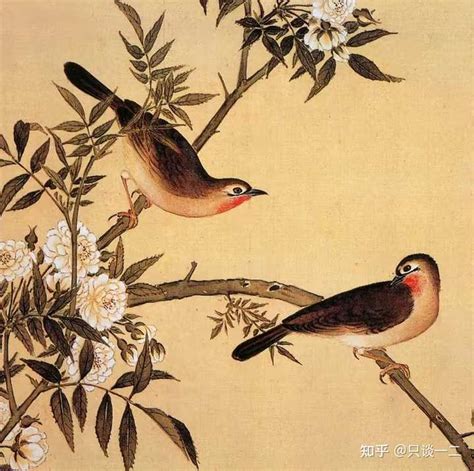中国传统四大名鸟！各个都是机灵可爱，看完的人都说好！_百灵鸟