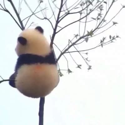 头像傻雕有病非主流