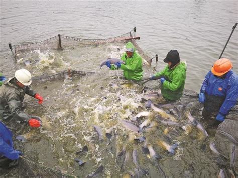 全州县开启“陆基圆形池循环水养殖”新型设施渔业养殖新模式|全州|养殖|陆基_新浪新闻