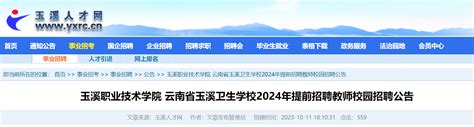 2024年云南玉溪职业技术学院、玉溪卫生学校提前招聘教师12名（11月2日报名）