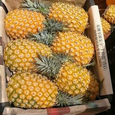 菠萝多少钱一斤_水果价格表今日价格 - 随意云