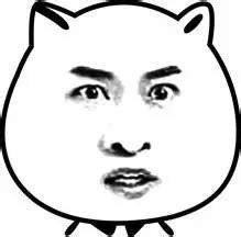 尔康 - 白色小猫脸明星脸_动图表情 - 发表情 - fabiaoqing.com