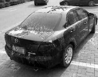 北京一私家车遭泼油漆扎胎 车身被写"环钱"