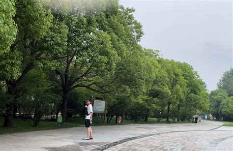 2023环境非常好。非常震撼。杨树博物馆里面，非常漂亮，但是很热。泗阳的路很漂亮，景观很精致_中国杨树博物馆-评论-去哪儿攻略