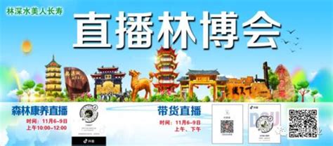 第16届林风娇图片