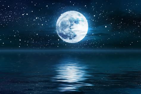 描写月亮的诗句：张若虚《春江花月夜》
