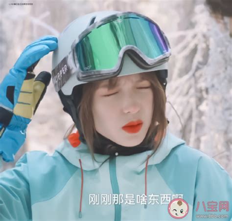 贺岁轻喜剧《暖洋洋假日2》开播 刘涛陈赫等主演亮相 - 影视 - 冰棍儿网