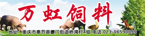 奉节便民网 - 免费发布房产、招聘、求职、二手、商铺等生活信息 www.fengjie.net