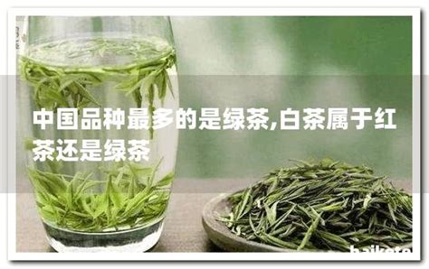 白茶属于红茶还是绿茶,中国品种最多的是绿茶 - 茶叶百科