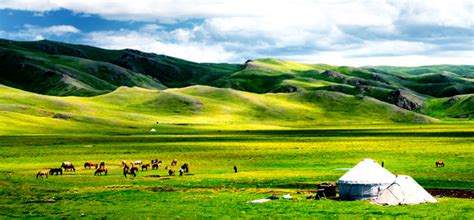 新疆库尔勒市作为中国西部最佳旅游城市……