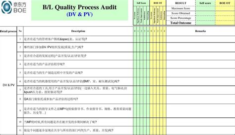 QPA Audit check list_BL_word文档在线阅读与下载_免费文档
