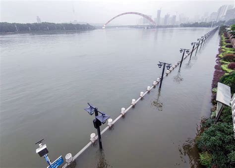 预警！珠江流域北江将现特大洪水，应急响应提至Ⅰ级 - 世相 - 新湖南