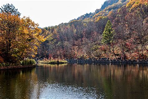 本溪关门山湖风景区,本溪关门山风景区,本溪关山湖风景区_大山谷图库