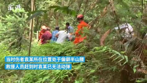 独自进山摘杨梅，树枝突然折断女子从10米高处摔下_凤凰网视频_凤凰网
