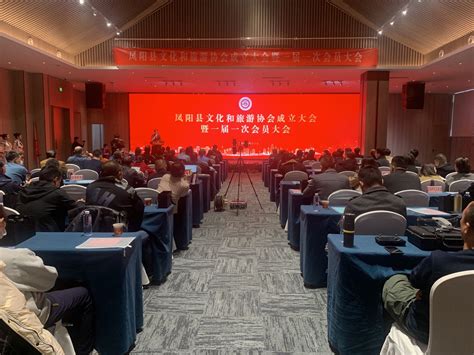 凤阳县文化和旅游协会正式成立_凤阳县人民政府