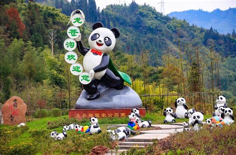 大熊猫国家公园入口社区：“超级 IP”的可持续发展探路【川报观察2020/5/12】_www.isenlin.cn
