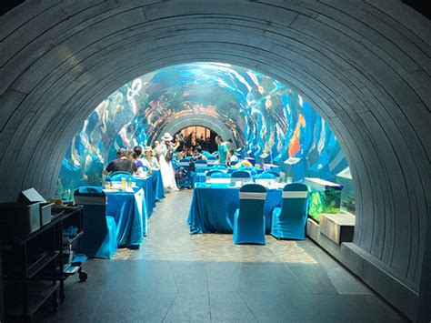 2023欢乐海洋美食餐厅,几个朋友在欢乐海洋海鲜城吃...【去哪儿攻略】