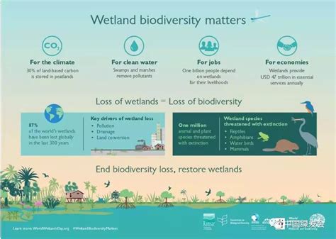 联合国《生物多样性公约》代理执行秘书在2020年世界湿地日的声明 | 中国绿发会分享 - 中国自然保护区生物标本资源共享平台