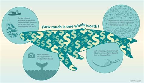 全民养鲸鱼游戏赚钱app图片预览_绿色资源网