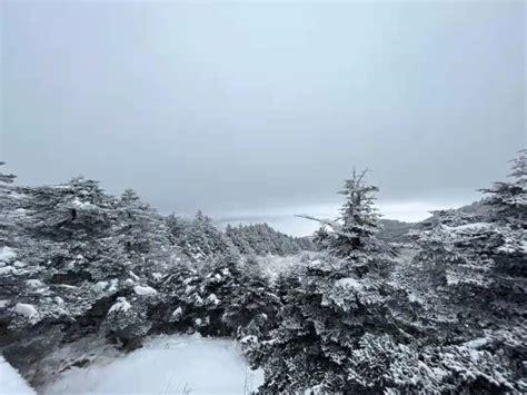 神农架降雪现雾凇景观_长江云 - 湖北网络广播电视台官方网站