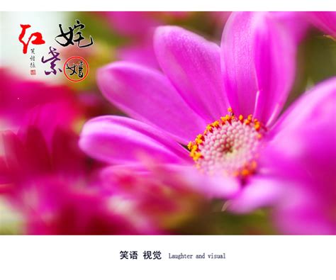 【姹紫嫣红摄影图片】生态摄影_春夏秋冬_太平洋电脑网摄影部落