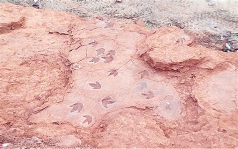 世界罕见的綦江莲花保寨恐龙足迹化石群 - 神秘的地球 科学|自然|地理|探索