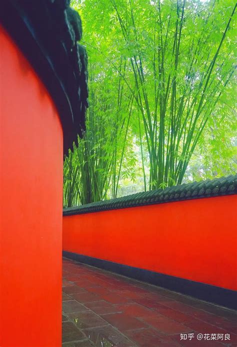 2021第二天】红墙红 翠竹绿摄影图片】生态摄影_太平洋电脑网摄影部落