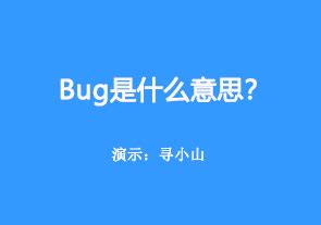 bug是什么意思-专业解读bug的几种意思