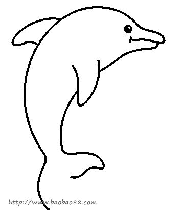 海豚动物简笔画图片