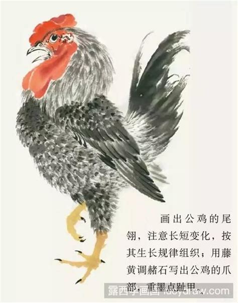 鸡|纯艺术|国画|诸暨画家张建平 - 临摹作品 - 站酷 (ZCOOL)
