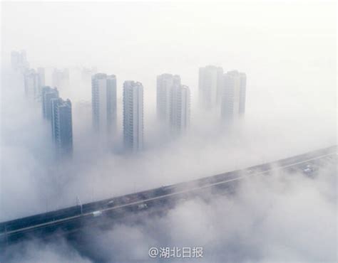 武汉现大雾天气 高架桥宛如天路