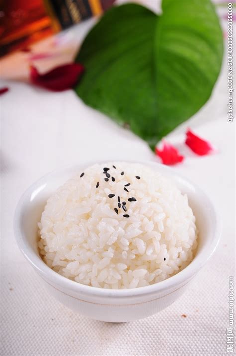 东北珍珠大米饭高清图片下载-正版图片500987040-摄图网